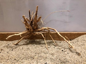 10-20cm Natural Requintado Madeira Deriva-Madeira Ramos Aquário Deriva Madeira Aquário Aquário Natural <span class=keywords><strong>Driftwood</strong></span> - Product Image 6
