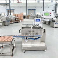 Machine industrielle automatique à grande capacité pour la fabrication de maamoul et de pâtisseries, ligne de production de pâte à pain