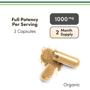 Tự nhiên sư tử bờm nấm bổ sung hỗ trợ chức năng não và sức khỏe nhận thức 120 viên nang 1000mg mỗi phục vụ - Product Image 2