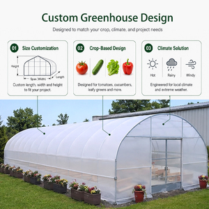 Attrezzature per Serre in Cina, Tunnel Prefabbricato in Polietilene 500M2, Serre Agricole per Piante - Product Image 2
