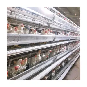 Cages à poulets de grande taille de haute qualité à vendre