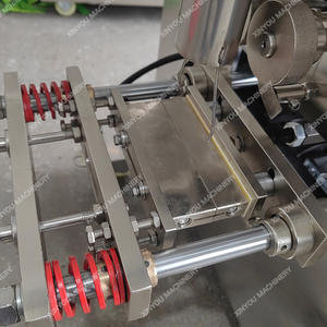 Macchina per il Confezionamento e il Riempimento di Polveri come Biossido di Titanio, Gomma Arabica del Sudan, Acido Citrico e Bentonite - Product Image 6