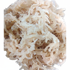 Musgo Marino Salado Blanco de Distribución a Granel, Orgánico 100%, con Alto Contenido de Vitaminas, Retrasa el Proceso de Envejecimiento - Product Image 1