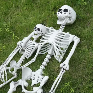 5.5ft/170Cm Halloween Menselijke Skeletten Volledige Lichaamsbeenderen Met Beweegbare Gewrichten Voor Spookachtige Feestdecoratie Rekwisieten Halloween Skelet