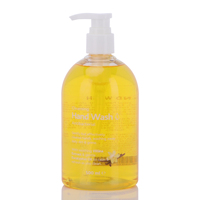 Savon liquide pour les mains antibactérien et bactériostatique pour femmes en famille, 500 ml, vente en gros
