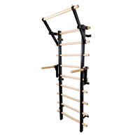 Échelle suédoise en métal pour tractions, press à jambes, escalade, yoga, étirements, barre simple ou double, équipement de fitness à domicile, mur d'échelle suédoise