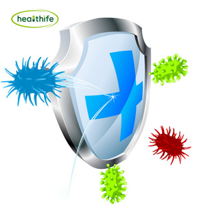 FocusHerb 도매 하이 퀄리티 사포닌 분말 알팔파 잎 추출물 5% 40% 사포닌 - Product Image 3