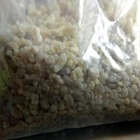 Encens naturel Royal Hojari D'encens Boswellia sacra importés D'oman