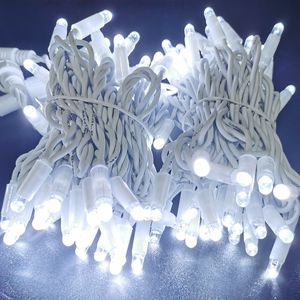 Fournisseur professionnel 220V économie d'énergie résistant à la glace câble en caoutchouc <span class=keywords><strong>guirlande</strong></span> extérieure décoration de fête LED <span class=keywords><strong>guirlande</strong></span> <span class=keywords><strong>lumineuse</strong></span> féerique - Product Image 3