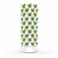 Système de jardinage hydroponique vertical à 10 niveaux pour ananas, avec pompe de circulation, pour laitues, herbes et légumes-feuilles