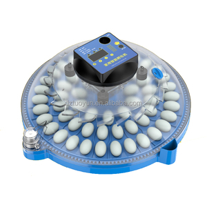 Incubateur automatique pour œufs de canaris TUOYUN, petit modèle, 93 œufs, vente en gros - Product Image 3