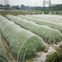 Filet de Protection résistant à la grêle pour plantes agricoles, filet contre les insectes dans les serres, produits en plastique agricoles