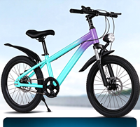 Sepeda Anak 6 Speed 18 20 22 Inch Rangka Baja Karbon Rem Cakram Sepeda Remaja Pelek Baja Rangka Keras