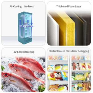 Congélateur vertical vitré pour supermarché, sans givre, à porte simple, pour la viande et la crème glacée - Product Image 6