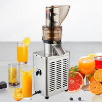 Hete verkoop automatische commerciële fruitpersmachine 300W-1200W voor appel, sinaasappel en peer sap, voor detailhandel