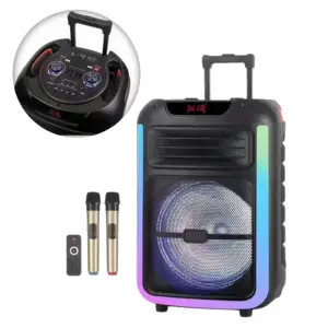 High Power Wireless LED Light BT Outdoor Stage Karaoke Party DJ Trolley Speaker With Wireless Mic NDR-325 1500W Subwoofer Active