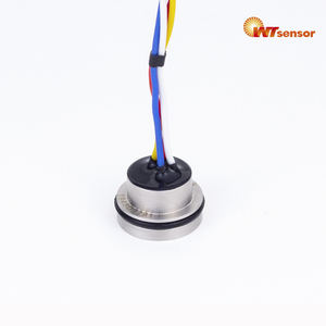 WTSensor CE RoHS REACH OEM ODM 19mm SS316L <span class=keywords><strong>MEMS</strong></span> 기술 오일 워터 가스용 압전 저항 실리콘 압력 센서 - Product Image 2
