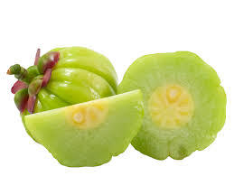 ผง Garcinia 40-gutta แบบดรัม Garcinia Gummi-gutta สารสกัดจากสมุนไพรเกรดอาหารล่าสุด - Product Image 4