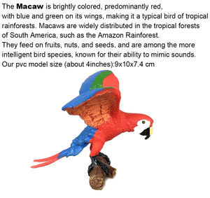 Modelli di Animali Sudamericani: Pappagallo, Armadillo, Alpaca, Tapir, Rana Avvelenata, Orso Martello, Giocattoli in Plastica - Product Image 2