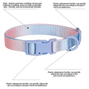 En Existencia, Accesorios de Moda para Mascotas, <span class=keywords><strong>Collar</strong></span> para Perro y Gato con Correa, Color Degradado Arcoíris de Lujo, Tallas S-L - Product Image 6