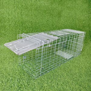 Jaula trampa para animales vivos humana de gran oferta galvanizada plegable de alta calidad para Conejo, zorro, mapache, mofeta, perro, <span class=keywords><strong>Lobo</strong></span> - Product Image 5