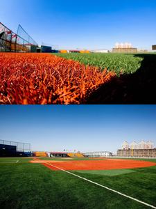 Cỏ nhân tạo cỏ đỏ cho sân bóng đá và bóng chày cho sân bóng đá - Product Image 2