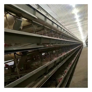 Bất ngờ giá hen lồng cho trang trại gà ở <span class=keywords><strong>rwanda</strong></span> gia cầm lớp gà lồng - Product Image 2