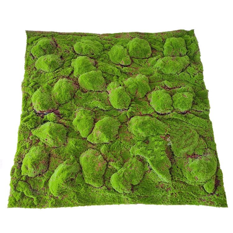 Green Large bulge covered with cracked moss