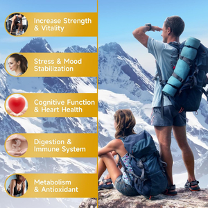 Gomitas de Shilajit Sin Azúcar para Adultos OEM/ODM, Minerales, Ácido Fúlvico |   <span class=keywords><strong>Beneficios</strong></span> Antioxidantes para la Energía, la Función Cerebral y el Apoyo Inmunológico - Product Image 4