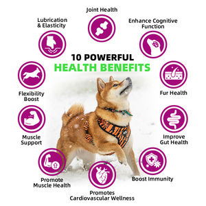 Huisdier Yuan Multivitamine Kauwen Traktaties Voor Honden Heup-En Gewrichtssupplementen Kauwbare Glucosamine Voor Honden - Product Image 4