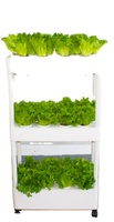 Système de jardinage hydroponique vertical intérieur à trois étages, vente directe du fabricant, idéal pour la culture domestique avec pompe de plantation