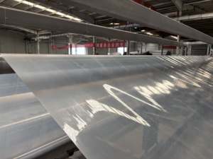 Fabricants chinois de géomembranes en HDPE/LDPE/LLDPE de 0,2 mm à 3 mm pour les applications en pisciculture, en étangs et en parcs - Product Image 5