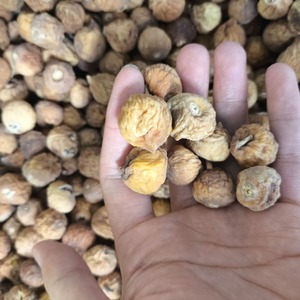 Remise en gros <span class=keywords><strong>Figues</strong></span> séchées Type de traitement brut Dropshipping disponible - Product Image 4