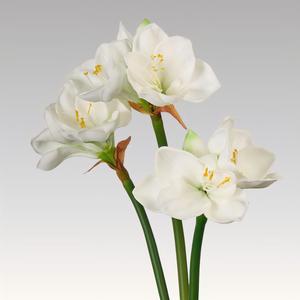 Fleur artificielle en PU <span class=keywords><strong>Amaryllis</strong></span>, haut de gamme, nouveau style chinois, pour salon, table, entrée, mariage, décoration de fête, <span class=keywords><strong>Amaryllis</strong></span> - Product Image 3