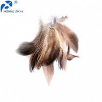 Plume de canard noire naturelle teinte pour les arts s bricolage coiffure chapeau cheveux Costume accessoire carnaval fête mariage maison Halloween décor