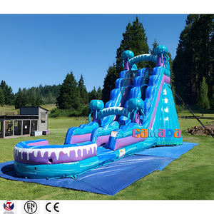 Tobogán Acuático Inflable Tropical de Doble Carril con Lona de PVC de Grado Comercial, Color Personalizado, Brincolines para Fiestas Infantiles, Casa de Brinco con Piscina - Product Image 6