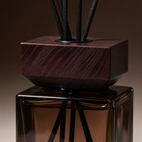Diffuseur de parfum carré en verre pour la maison, flacon d'huile essentielle, désodorisant, ensemble de contenants de parfum