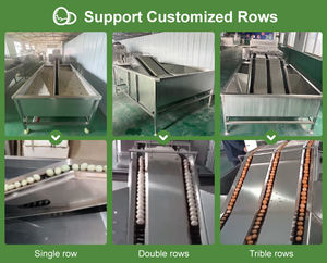 Laveuse d'oeufs pratique 2200 pcs/H Machine à laver les oeufs Nouveau produit Machines de tri de nettoyage des oeufs - Product Image 4