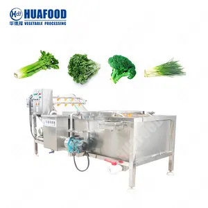 Leaf washing equipment fruit vegetable air bubble cleaning machine