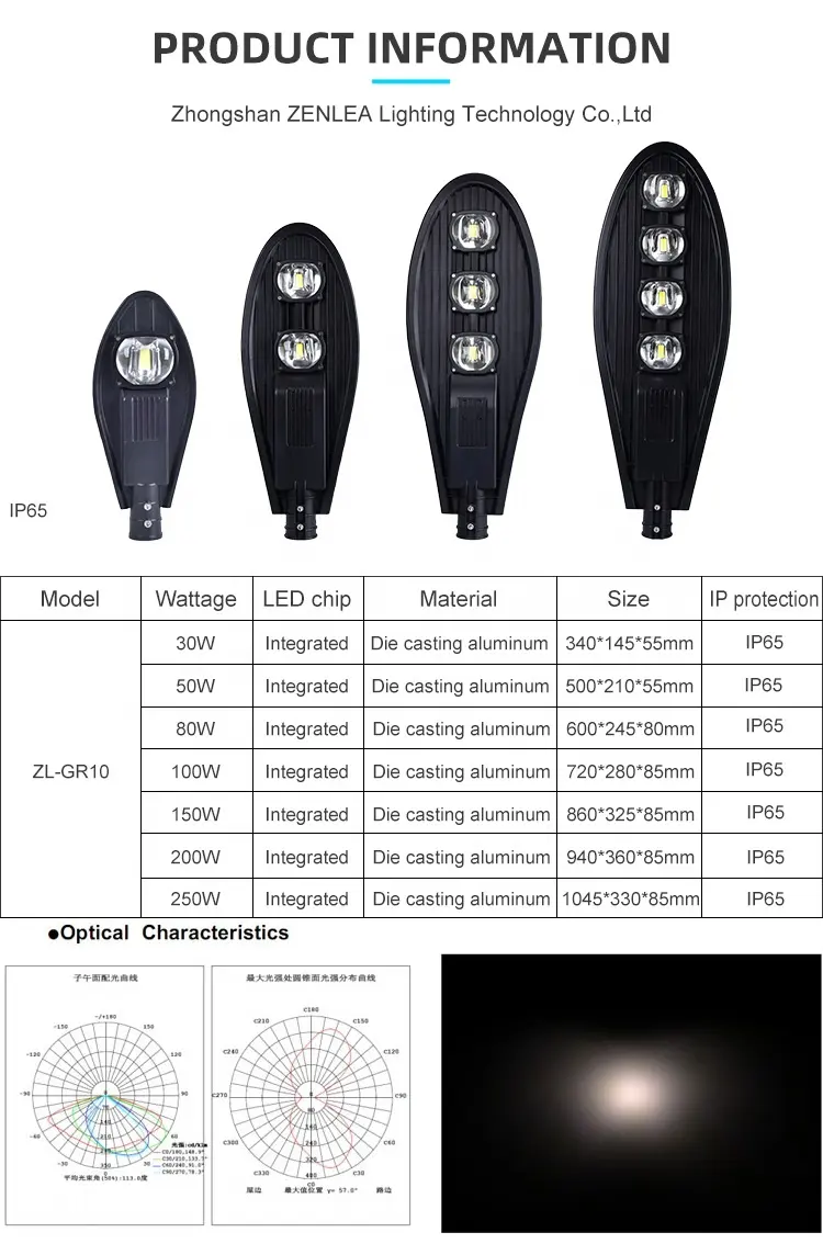 야외 Ip65 방수 정원 조명 알루미늄 가로등 30w 50w 80w 100w 150w 200w 250w 300w 코브라 COB Led 가로등