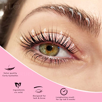 Набор для лифтинга ресниц Camellia Korean Lift Big Kit с 18% цистеамина, мягкая завивка, держится до 90 дней, для густых и матовых волос