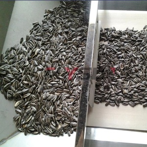 Flysun Automatic Microwave Tunnel Dryer 304 Stainless Steel for Melon Seeds Conveyor Belt <b>Sterilization</b> Drying Machine High - Product Image 2
