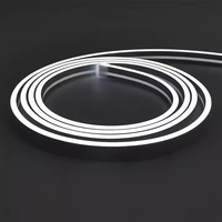 Ruban lumineux LED néon blanc à vision latérale 4 x 8 mm, flexible, étanche IP67, bande lumineuse en cuivre découpable, utilisation commerciale et paysagère