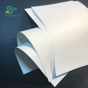 Carta impermeabile <span class=keywords><strong>Premium</strong></span> Never Tear 95um 120um 150um carta sintetica per animali domestici bianca opaca - Product Image 5