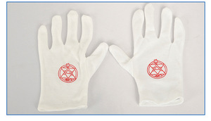 Costume de cosplay d'anime Fullmetal Alchemist, costume de cosplay pour fête d'Halloween, ensemble de accessoires de cosplay, Stelle Caelus - Product Image 6