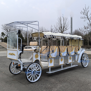 รถม้าไฟฟ้าสำหรับเที่ยวชมสถานที่สำคัญในราคาขายส่ง รถม้าสำหรับโอกาสพิเศษ รถม้าสำหรับงานแต่งงาน ลดราคา - Product Image 2