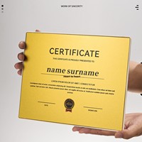 Medalla de Metal Acrílica Creativa Personalizada, Carta de Autorización Comercial para Agencias de Franquicias, Placas de Premio Honoríficas Personalizadas con Impresión UV