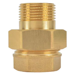 BSP chủ đề cw617n PN 16 giả mạo Brass tản nhiệt kết nối