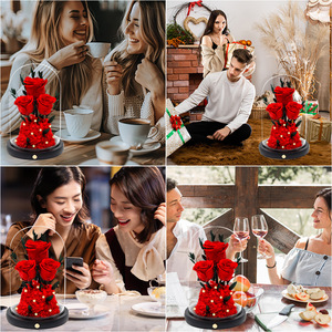 Fleur Éternelle Sansheng III, Roses Naturelles Conservées, Petit Prince sous Cloche en Verre, Longue Durée, Décoration de Table, Noël, Saint-Valentin - Product Image 4