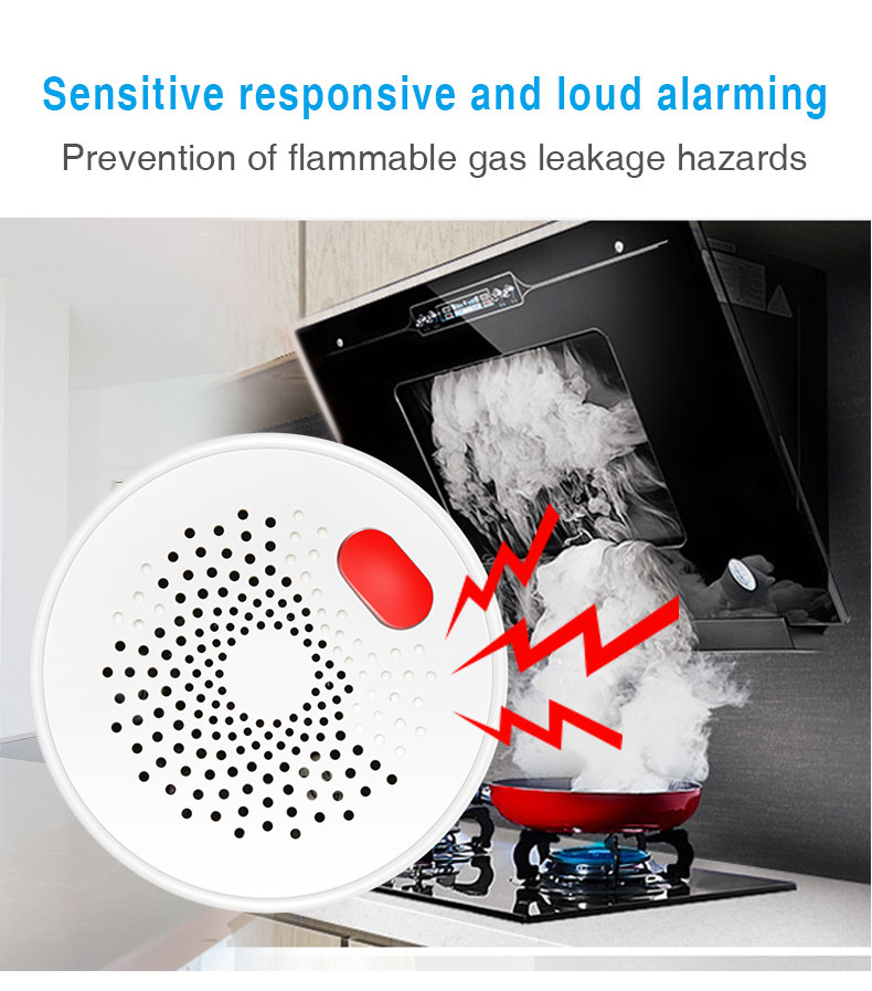 Sensitive responsive and loud alarmingPrevention of flammable gas leakage hazards